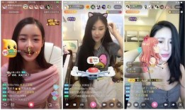 娱乐吃瓜酱大学,大学生活中的趣味瞬间