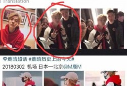 业内人士爆料鹿晗视频,业内揭秘背后真相